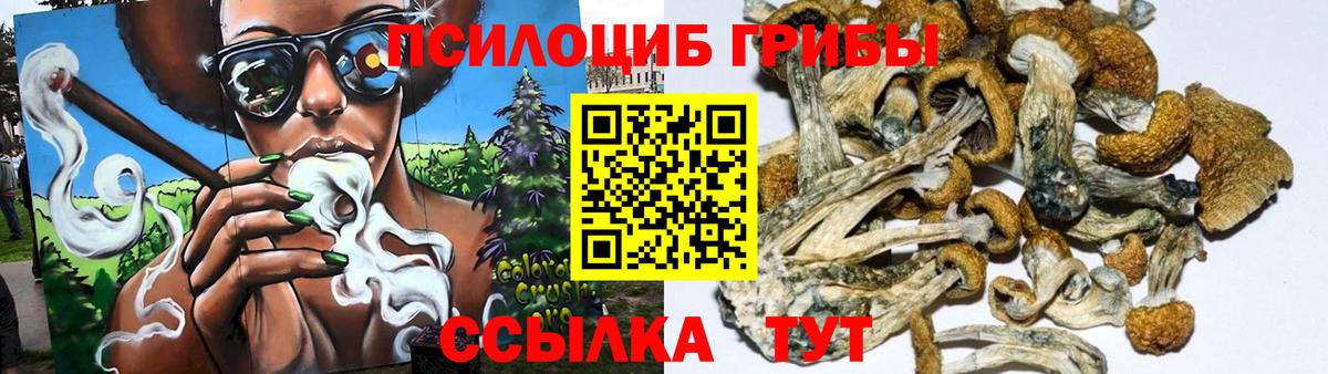 Галлюциногенные грибы мухоморы  Вход с VPN  Куйбышев 